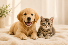 Puppy or Kitten